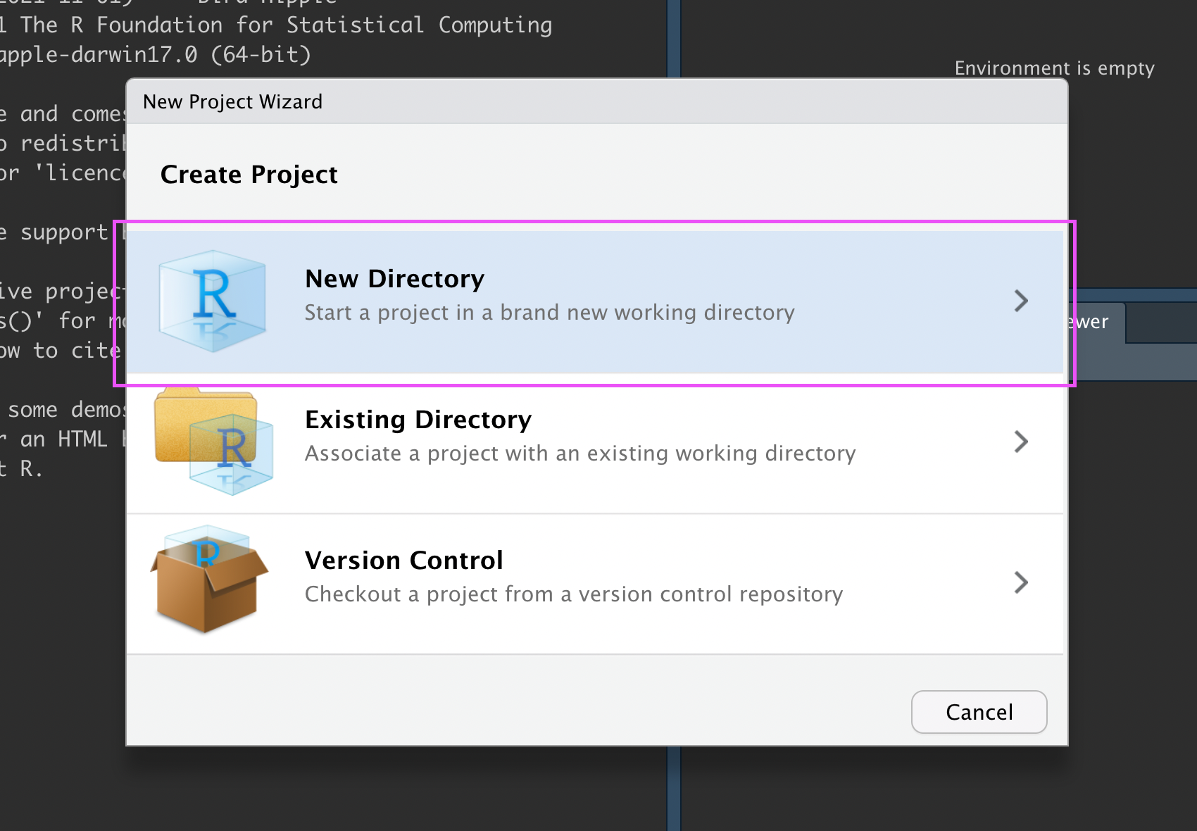 In the New Project Wizard, the 'New Directory' option is highlighted.