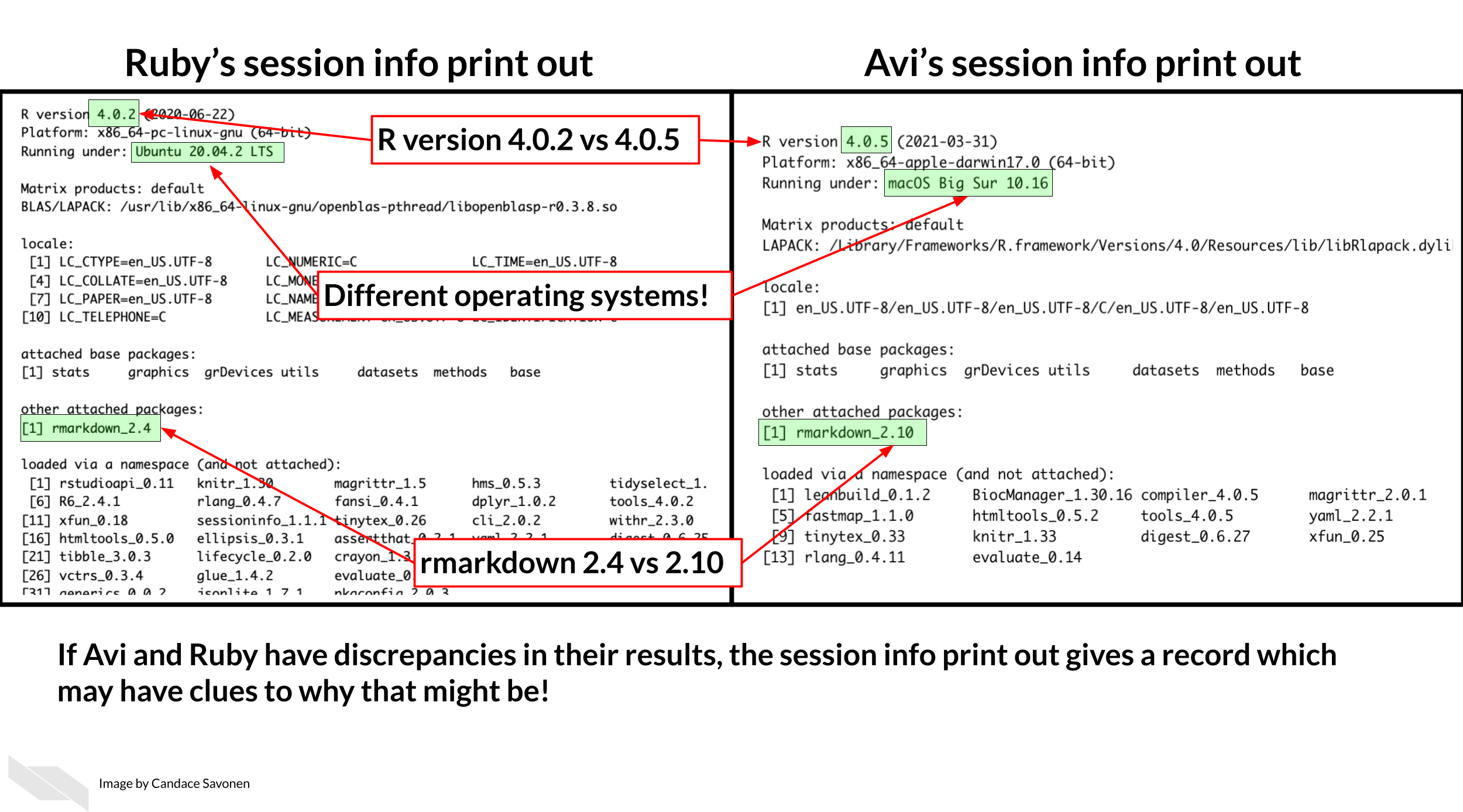 session info